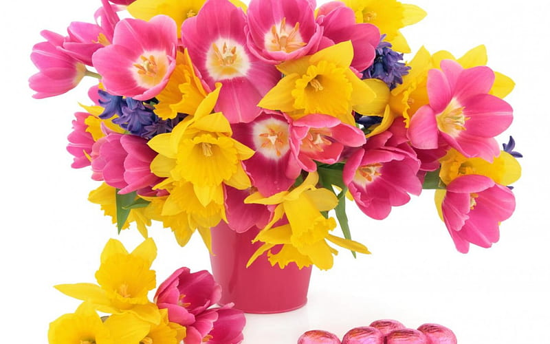 flowers spring, plot, flower, yellow, springs, pink, HD wallpaper