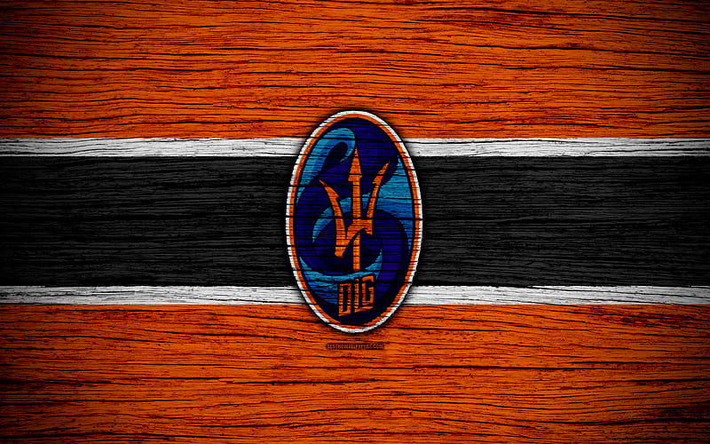 Deportivo La Guaira FC logo, La Liga FutVe, soccer, Venezuelan Primera Division, football club, Venezuela, Deportivo La Guaira, creative, wooden texture, FC Deportivo La Guaira, HD wallpaper