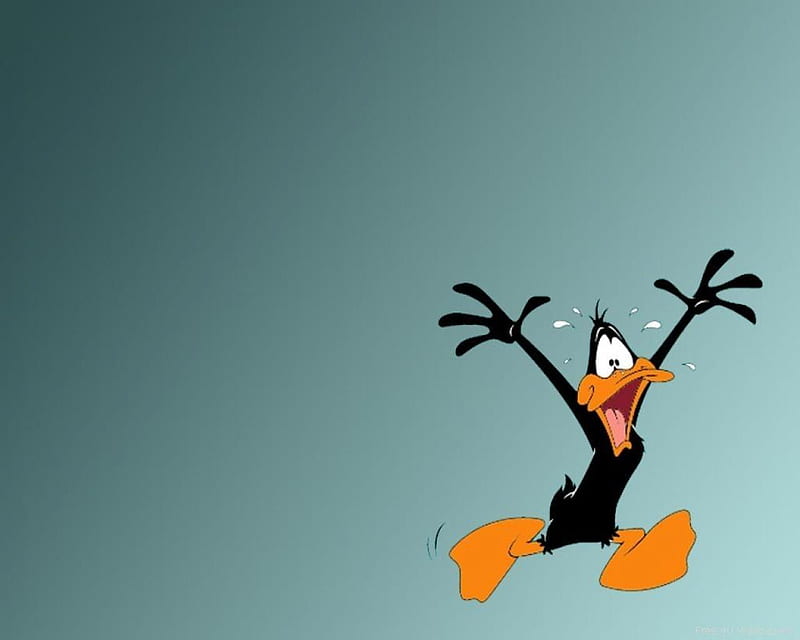 Daffy, cool, duck, animation, cartoon, the one, HD wallpaper