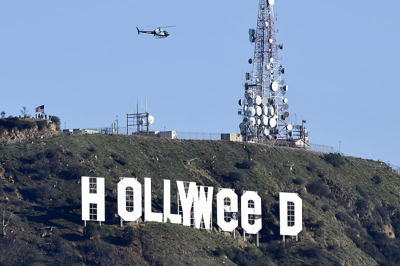 13 Hollyweed Images Stock Photos  Vectors  Shutterstock