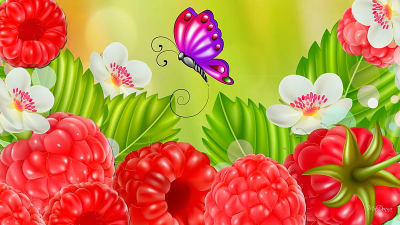 Raspberry Season, red, raspberries, health, fragrant, sweet, fruit, leaves, butterfly, green, summer, blossoms, flowers, nature, blooms, goodness, HD wallpaper
