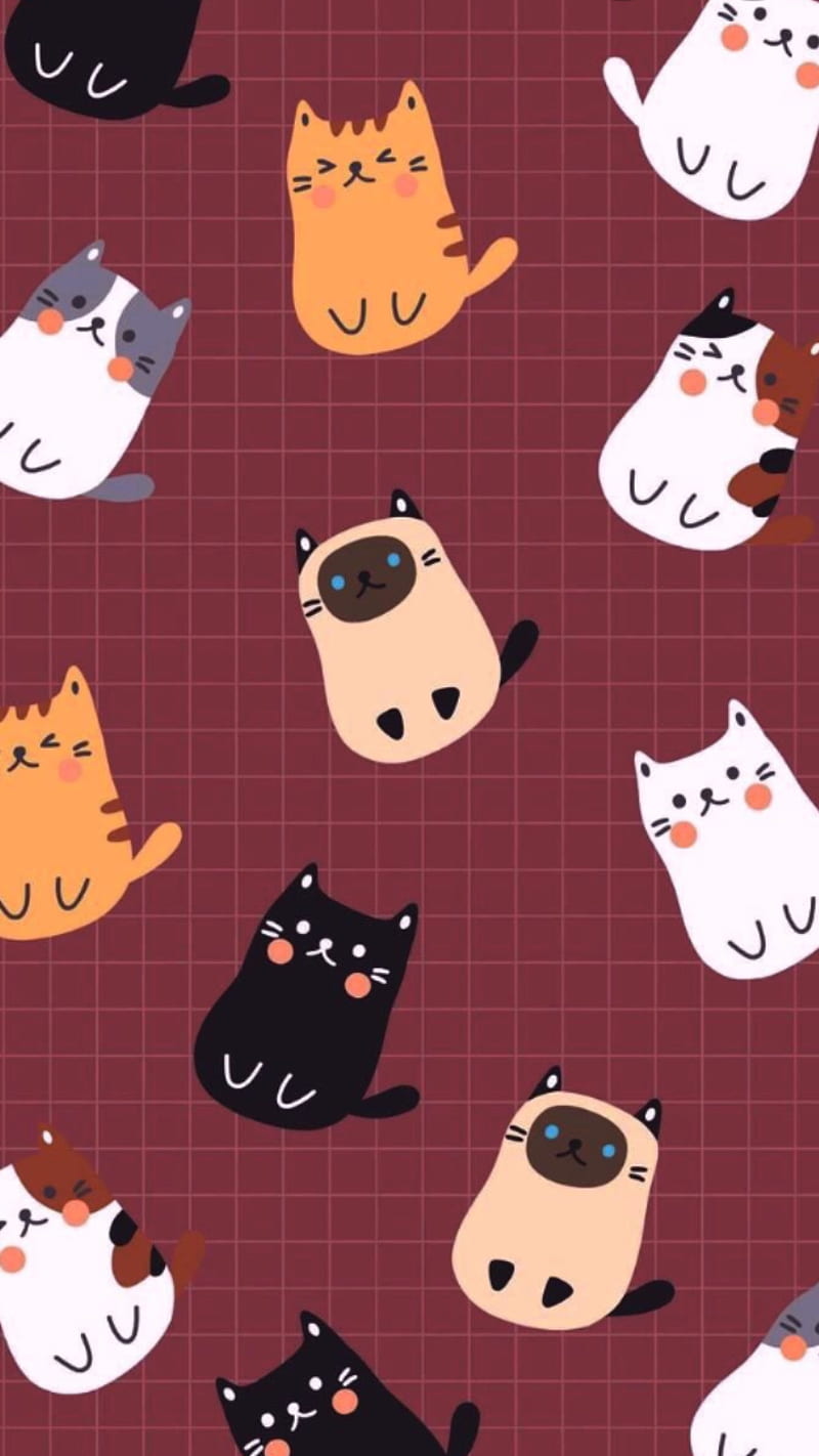 Cat, cat pattern, cute, cute cat, cute cats, pattern, patterns, HD phone wallpaper