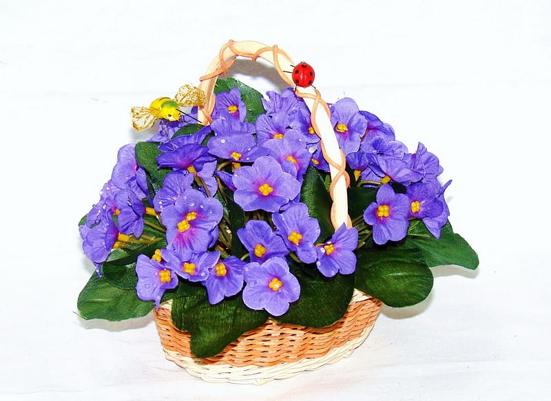 Purple tenderness, bee, purple, decoration, basket, lady-bird, flowers, beauty, HD wallpaper