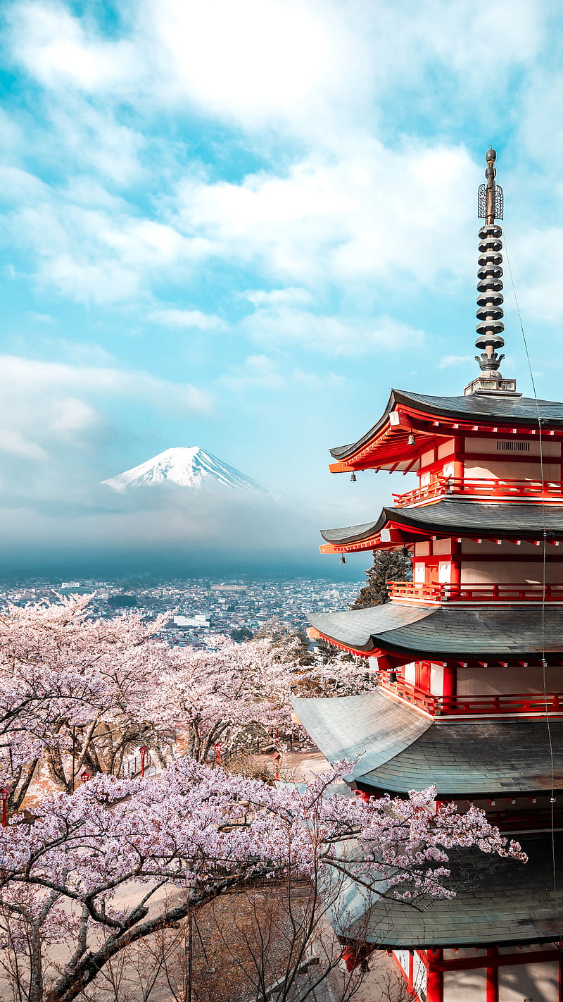 Chureito Pagoda, cherry blossoms, japan, mount fuji, graphy, sakura, travel, HD phone wallpaper