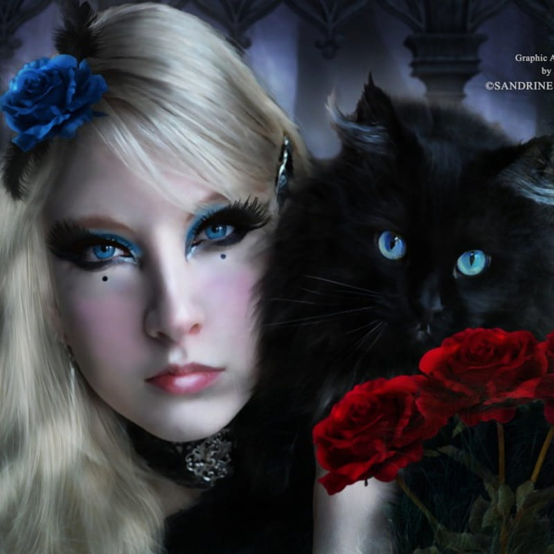 Romance, fantasy, flowers, roses, cat, lady, HD wallpaper