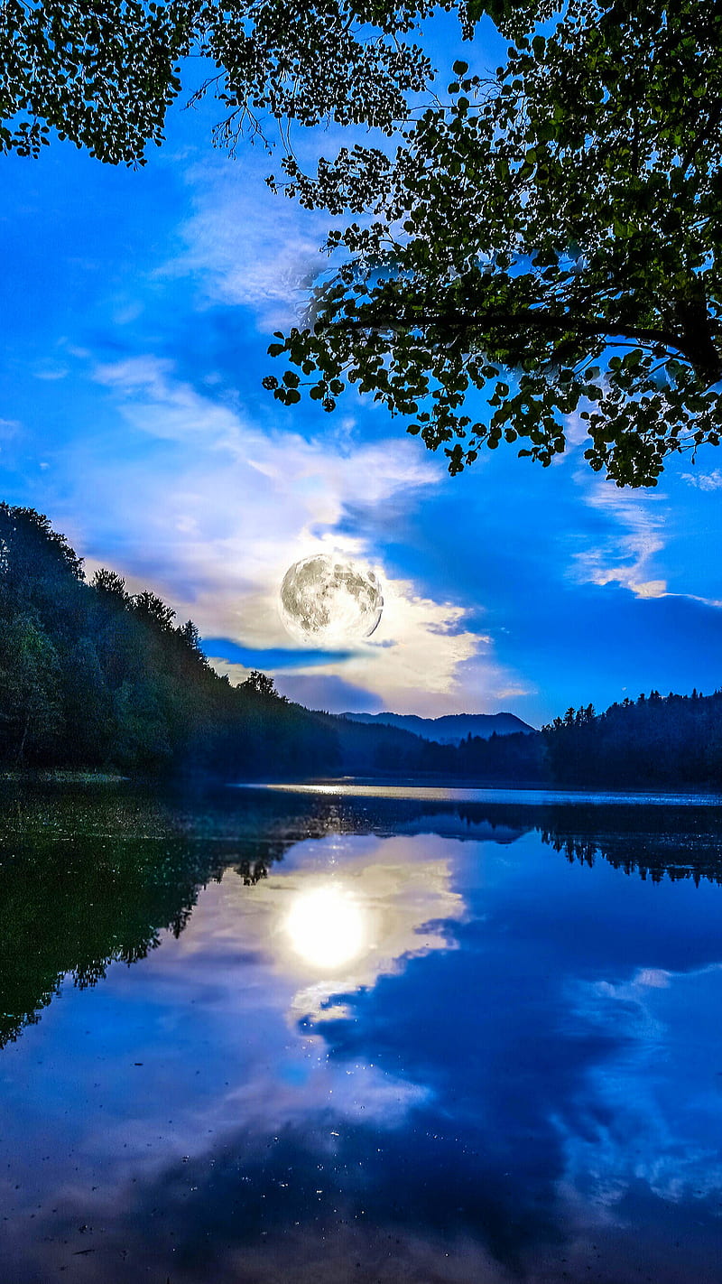 Moonlight, cloud, lake, moon, nature, reflection, sky, tree, water, HD phone wallpaper