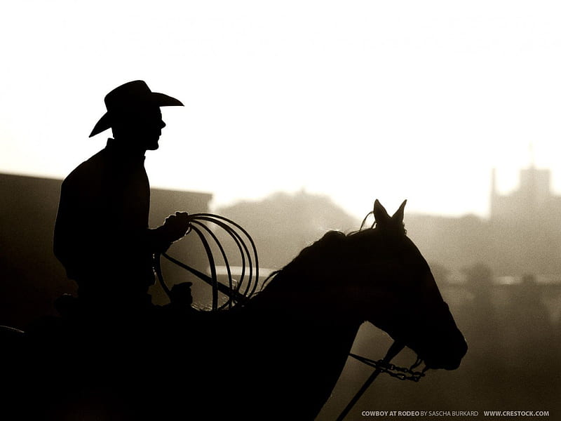 Cowboy, boy, nice, horse, hat, HD wallpaper