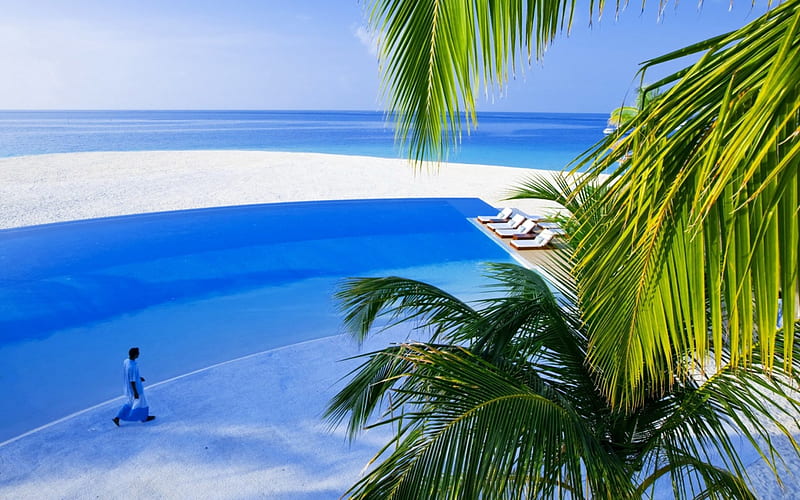 seaside pool on meeru island in the maldives, resort, shore, trees, pool, sea, blue, HD wallpaper