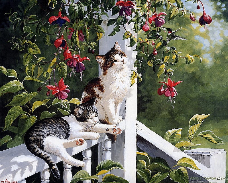 Cats, red, art, persis clayton weirs, cat, animal, flower, painting, summer, pictura, pisica, HD wallpaper