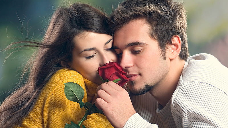 Romantic, red, young, hugging, rose, man, woman, HD wallpaper