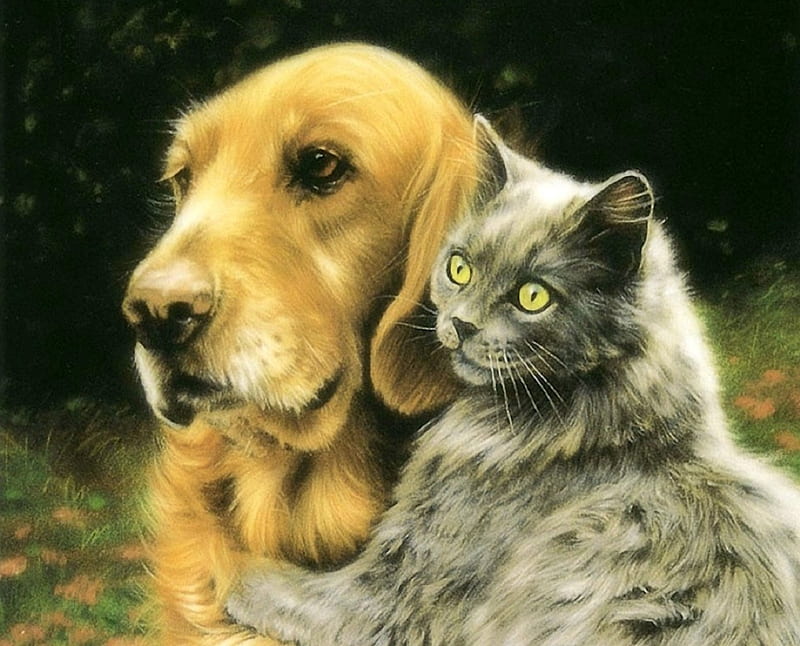 Dog and Cat, paintings, draw and paint, love four seasons, cats, animals, dogs, friends, HD wallpaper