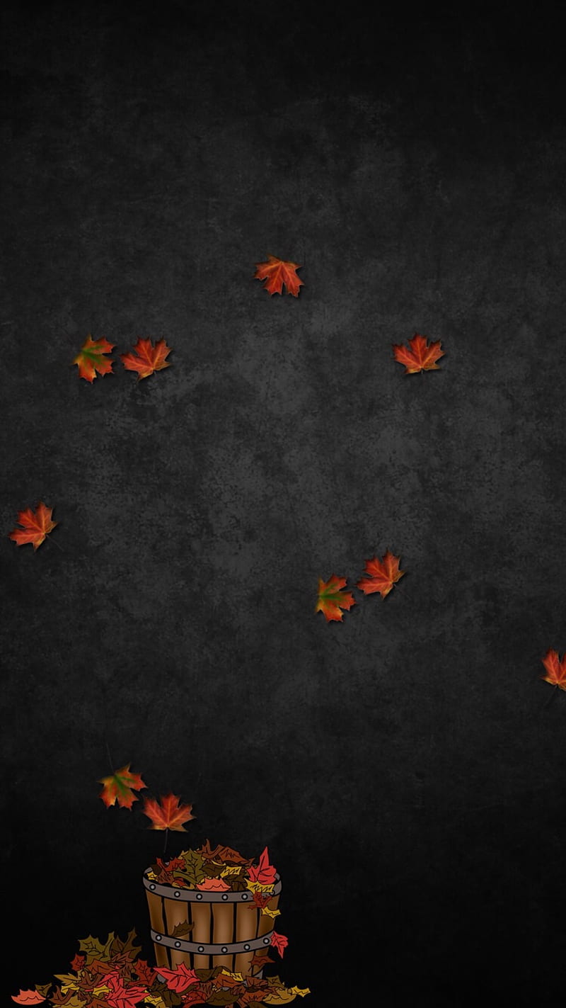 Download Embrace the beauty of dark autumn days Wallpaper  Wallpaperscom
