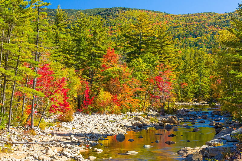 Fall in the White Mountains of New Hampshire, Fall, Mountains, Forests, Creeks, Autumn, Nature, HD wallpaper