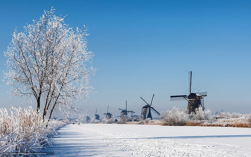 Winter in Netherlands, tree, hoarfrost, Netherlands, windmills, canal, ice, winter, HD wallpaper