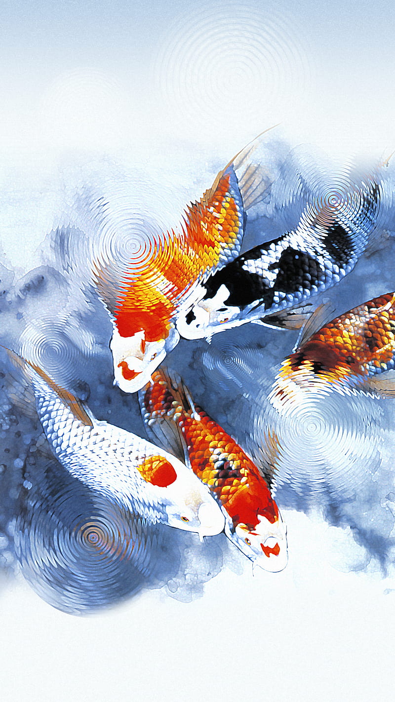Yin Yang Fish Wallpapers  Wallpaper Cave