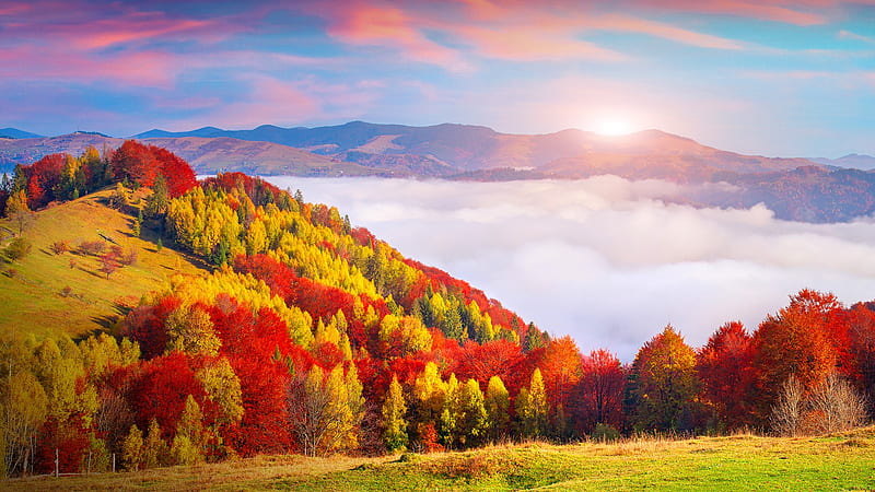 Autumn morning in the Carpathian mountains, Sokilsky ridge, Ukraine. Windows 10 Spotlight, HD wallpaper