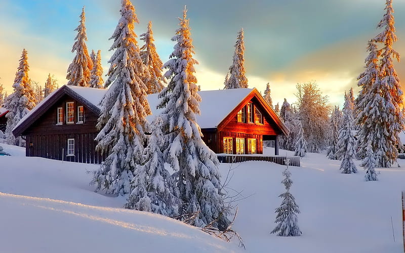winter, forest, wooden cottage, HD wallpaper