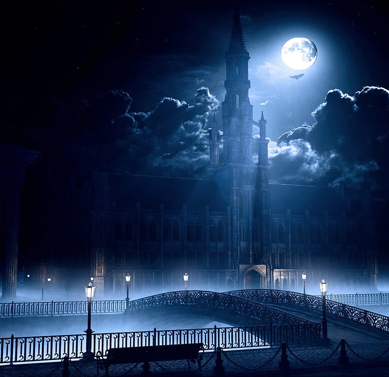 Moonlight shadow, shadow, church, fullmoon, moon, monument, city, splendor, bridge, moonlight, nature, beauriful, blue, night, HD wallpaper