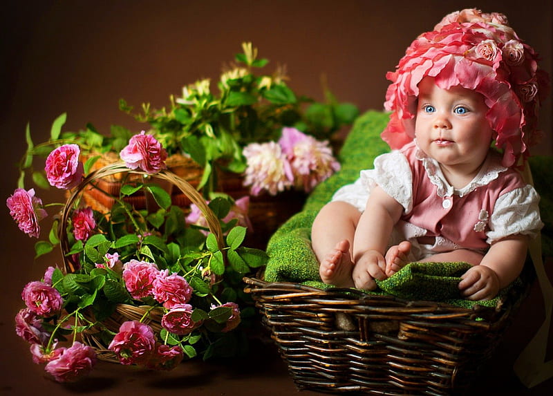 Basket baby, pretty, little, bonito, sweet, kid, leaves, nice, flowers, child lovely, blue eyed, gift, roses, baby, cute, cutie, girl, basket, HD wallpaper