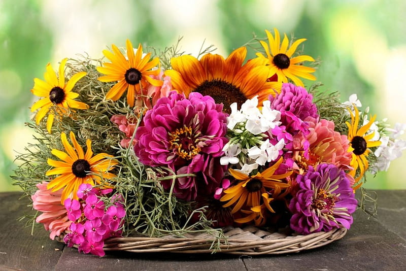 Summer Composition, zinnia, coneflower, blossoms, colors, sunflower, HD wallpaper