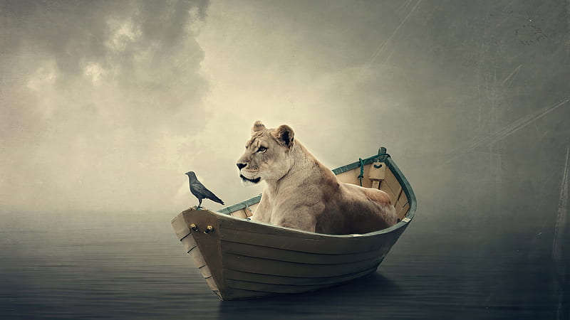 Lion Boat, lion, boat, manipulation, HD wallpaper | Peakpx