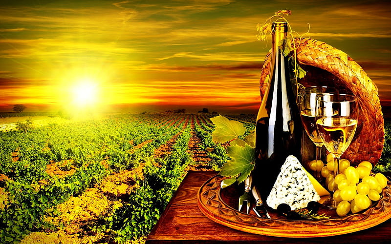 TASTY SUMMER, sun, vineyards, wine, dor blue, grapes, white wine glasses, black olives, cheese, bottles, HD wallpaper
