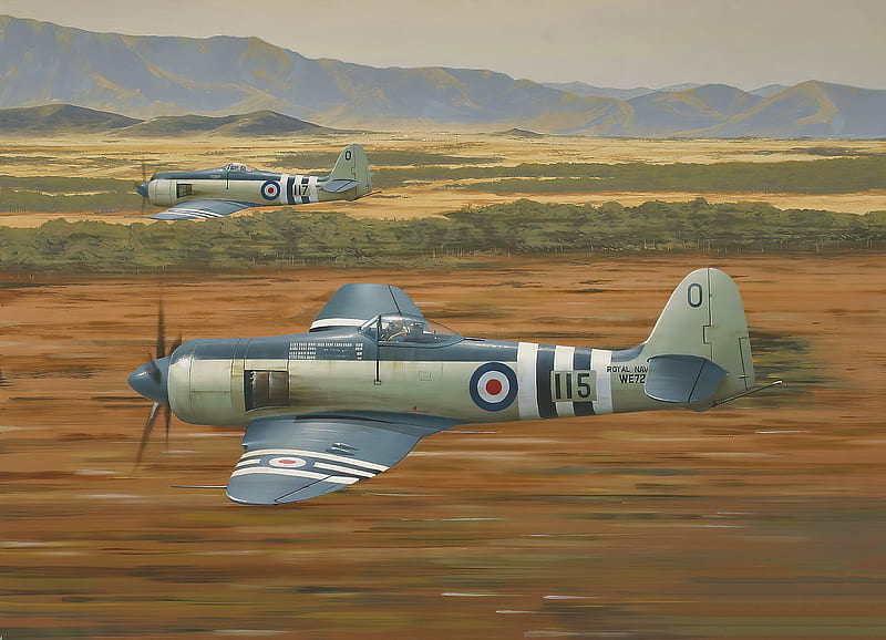 Military Aircraft, Hawker Sea Fury, Aircraft, Warplane, HD wallpaper