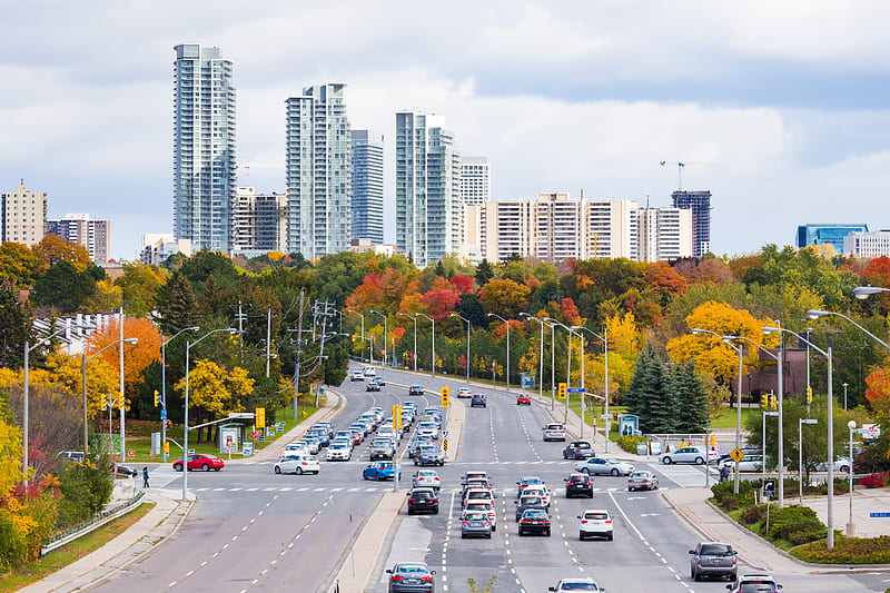 crowd, cars, autumn, trees, skyscrapers, modern architecture, City, HD wallpaper