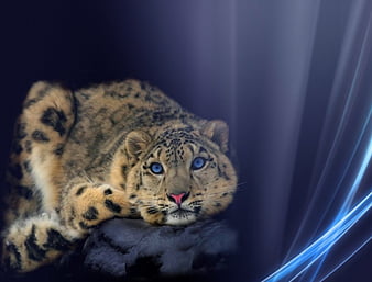 pandora for mac snow leopard