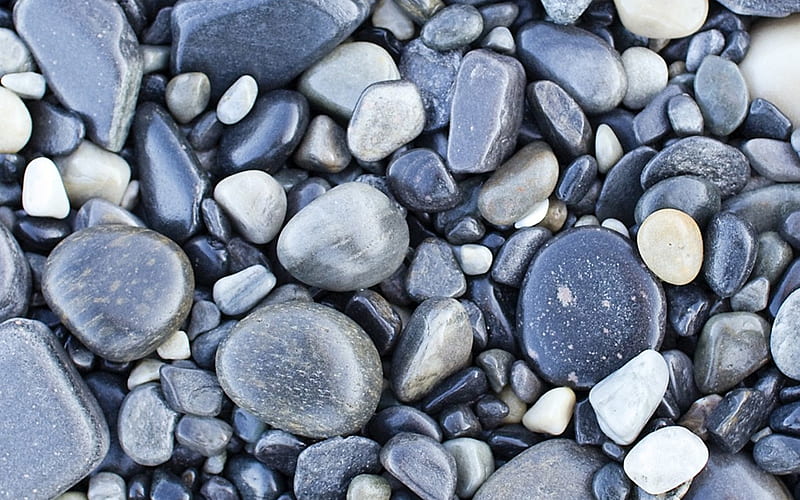 gray pebbles, coast, macro, gray stone texture, pebbles backgrounds, gray pebbles texture, gravel textures, pebbles textures, stone backgrounds, gray stones, gray backgrounds, pebbles, HD wallpaper