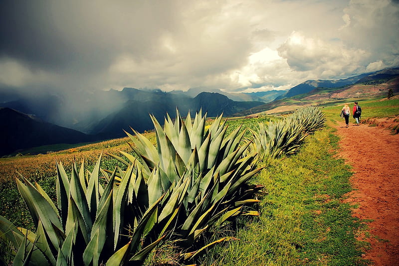 Andes Mountains, Peru, people, path, agaves, clouds, sky, landscape, HD wallpaper