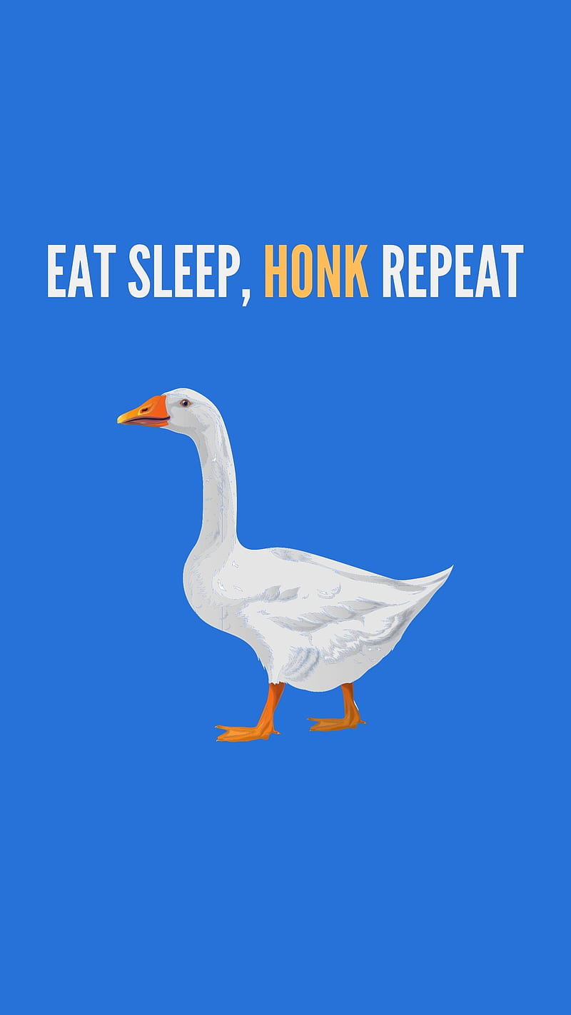Eat Sleep Honk, duck honk meme, funny goose, geese, horrible cartoon, humor,  HD phone wallpaper | Peakpx