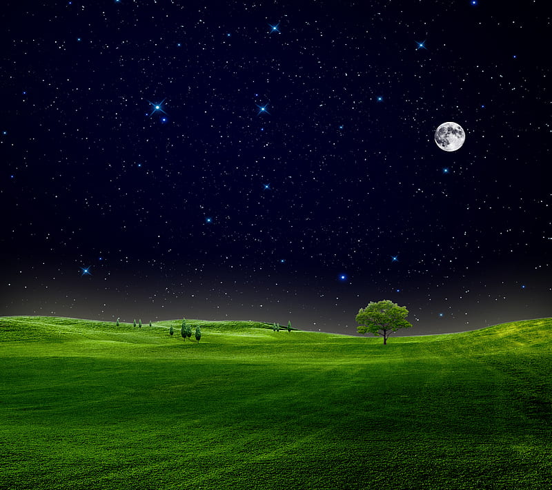 night sky, field, grass, moon, nature, new, nice, stars, tree, HD wallpaper