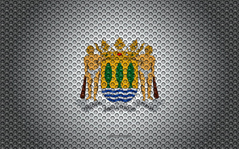 Flag of Gipuzkoa creative art, metal mesh texture, Gipuzkoa flag, national symbol, provinces of Spain, Gipuzkoa, Spain, Europe, HD wallpaper