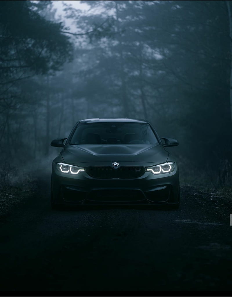 BMW, 2017, black, car, carros, ford, forest, inside, muscle, mustang, HD phone wallpaper