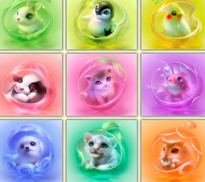 The young Ones, rabbit, cow, hamster, fish, penguin, tiger, parrot, collage, kitten, dog, HD wallpaper