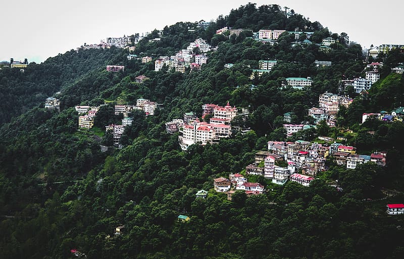 Shimla Hilltop View, hill, valley view, shimla, himachal, landscape, nature, HD wallpaper