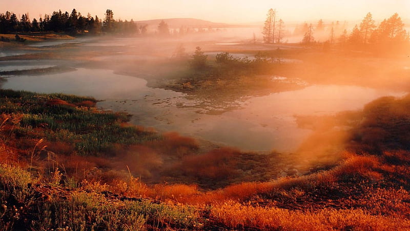 Autumn Mist over Yellowstone National Park, yellowstone national park, autumn, nature, forests, trees, mists, fog, HD wallpaper