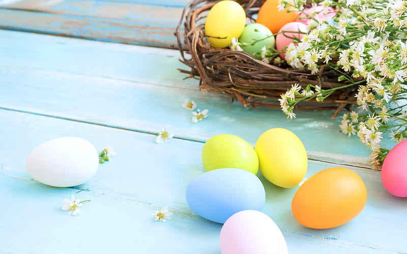 spring, easter eggs, nest, easter decoration, spring flowers, colorful eggs, HD wallpaper