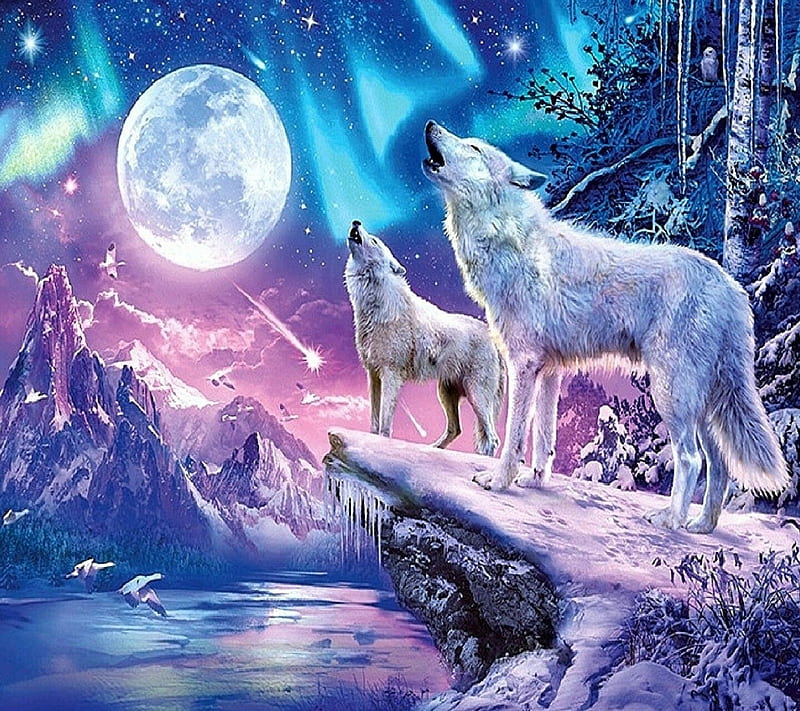 Wolf, Stein, Mond, Deutschland, HD wallpaper