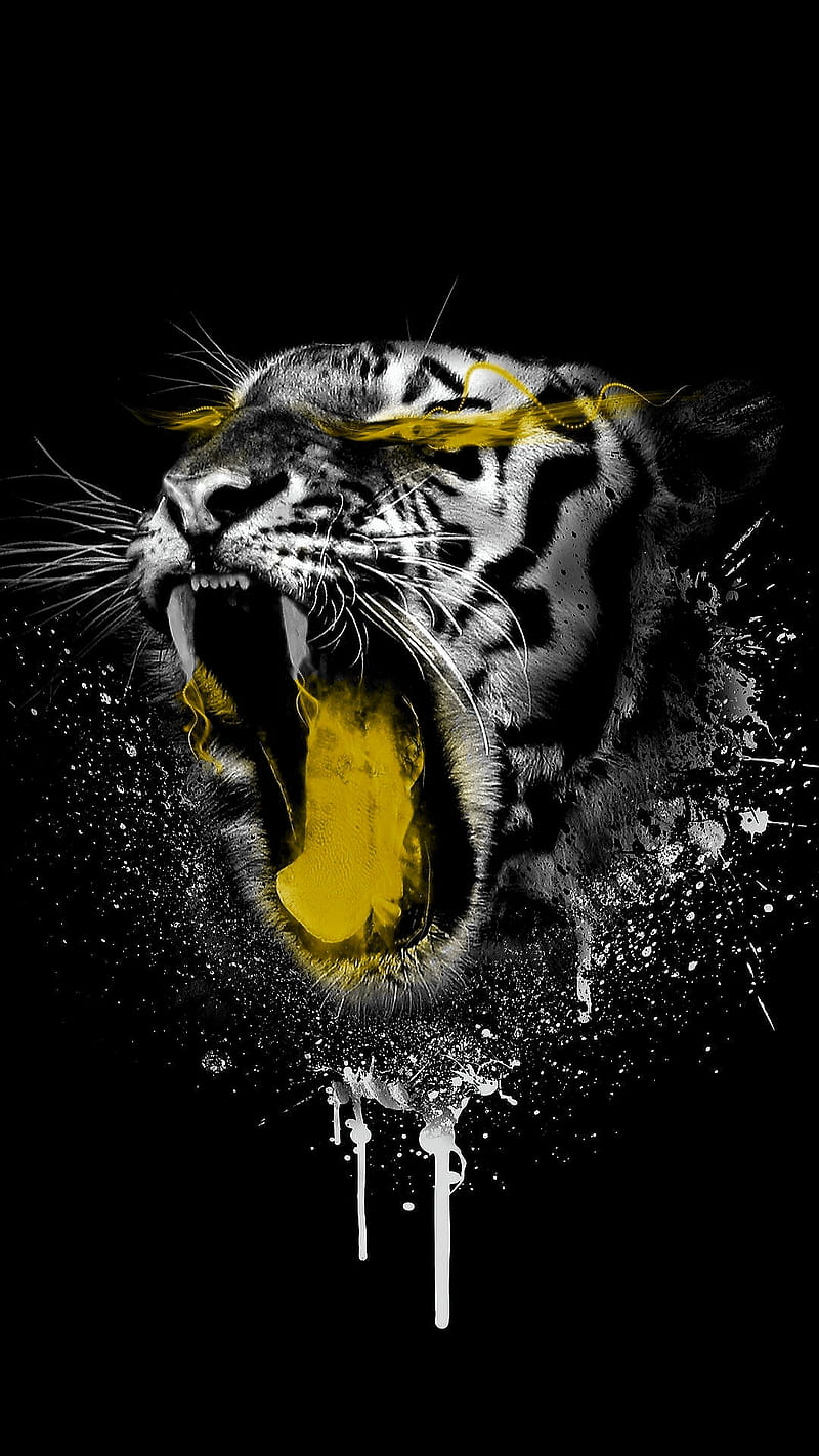 Angry tiger, angry, black and white, bw, mad, mouth, teeth, tongue, yellow, HD phone wallpaper