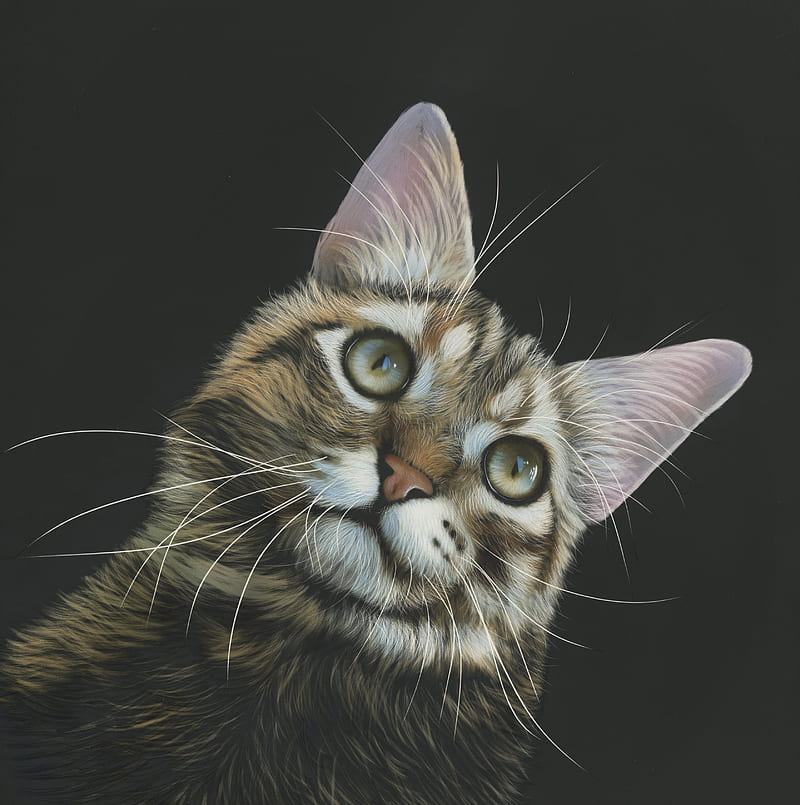 Cat Painting , cat, painting, animals, HD phone wallpaper