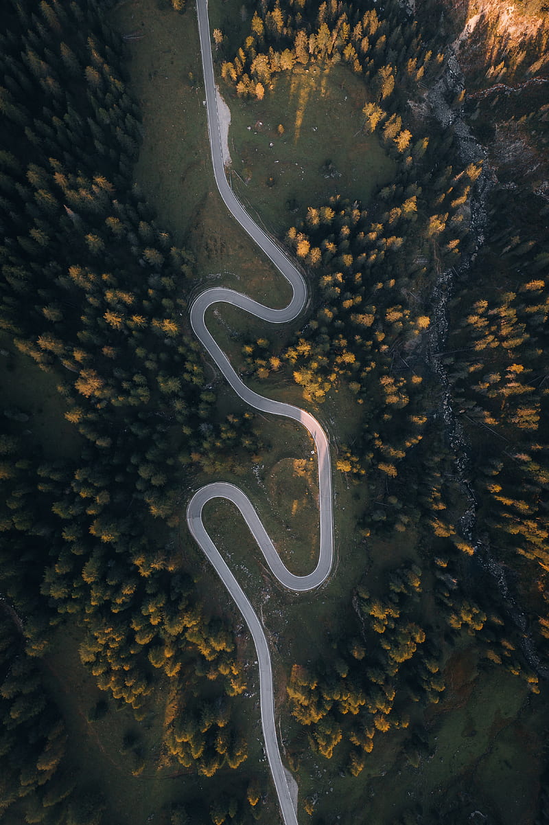 road, aerial view, trees, hill, winding, HD phone wallpaper