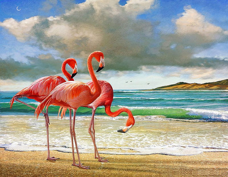 Flamingo Beach, birds, sky, clouds, sea, painting, HD wallpaper
