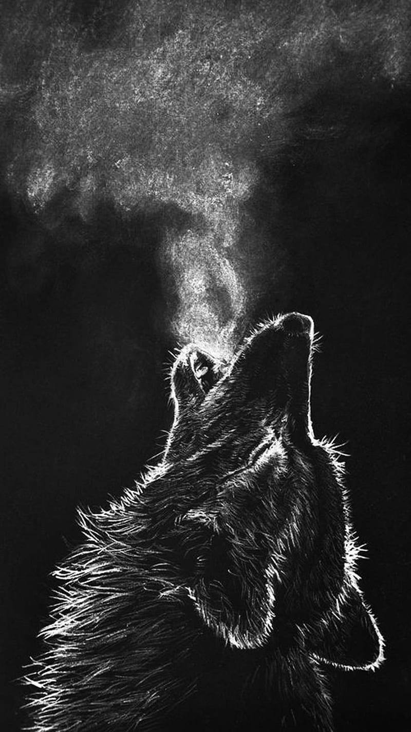 pencil sketches of wolves howling at the moon