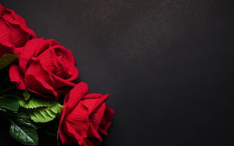wallpaper desktop background red flowers