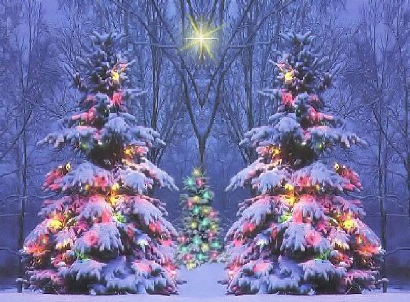 ღ.Glow of Three Trees.ღ, pretty, displays, dusk, adorable, greeting, ribbons, bows, xmas, sweet, fog, splendor, lovely, christmas, glow of three trees, light bulb, new year, joy, winter, happy, cute, balls, snow, colored lights, ornaments, festival, glow, holidays, jolly, bonito, twilight, seasons, frosty, graphy, merry, party time, decorations, forest, amazing, three trees, fun, christmas trees, mist, brilliantly, snowflakes, travels, frozen, outdoor, HD wallpaper