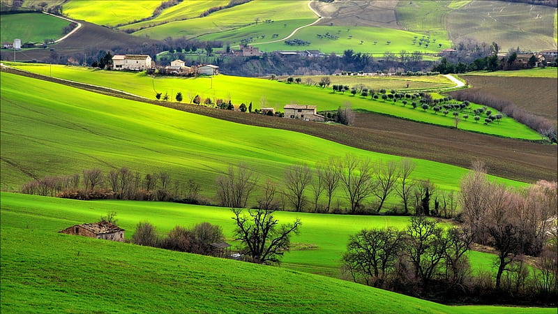 beautiful rural landscape, hills, green, farms, fields, trees, HD wallpaper