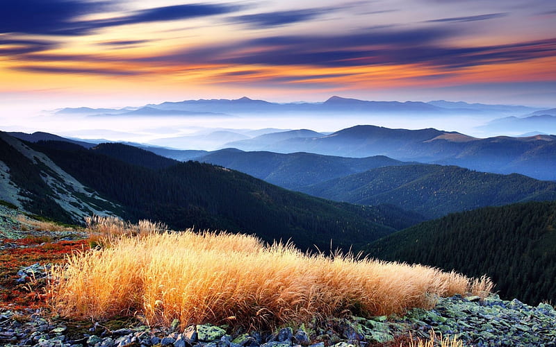 Drygrass on the Mountaintop, grassy, mountains, sunset, clouds, sky, drygrass, HD wallpaper
