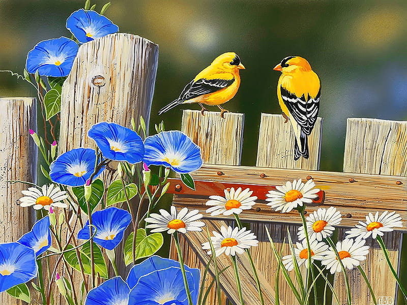 Morning glory, art, fence, birds, bonito, spring, gathering, glory, flowers, garden, morning, HD wallpaper